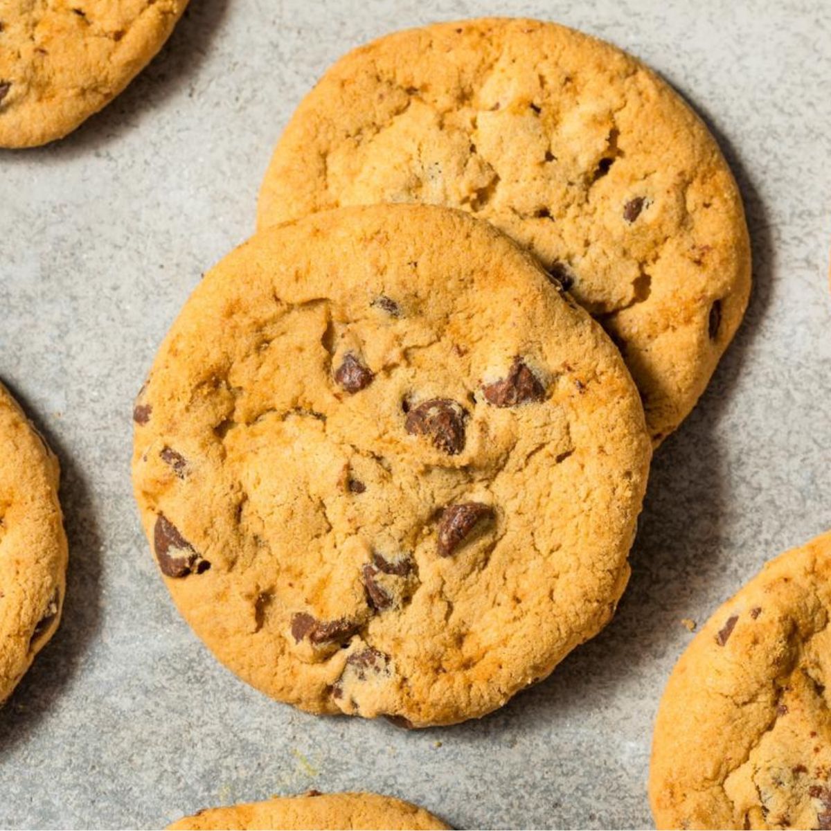Sourdough Chocolate Chip Cookies