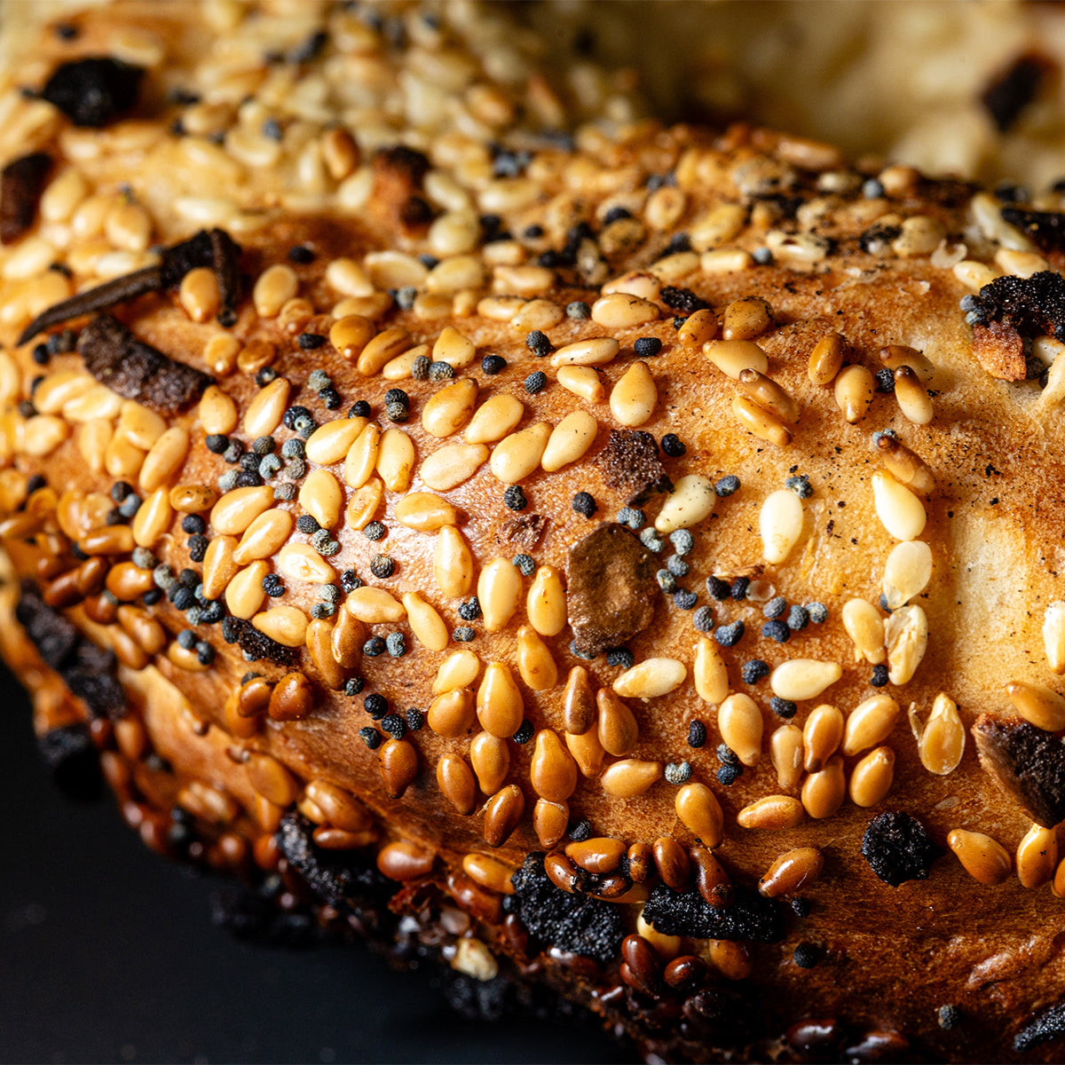 Sourdough Bagels Ajonjolí