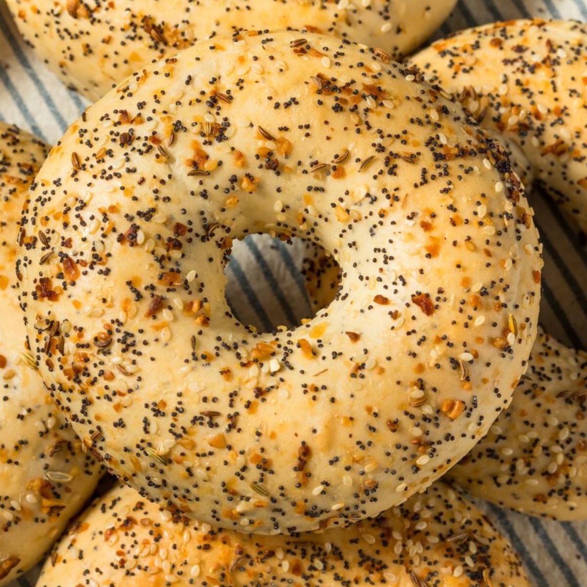 Everything Bagel