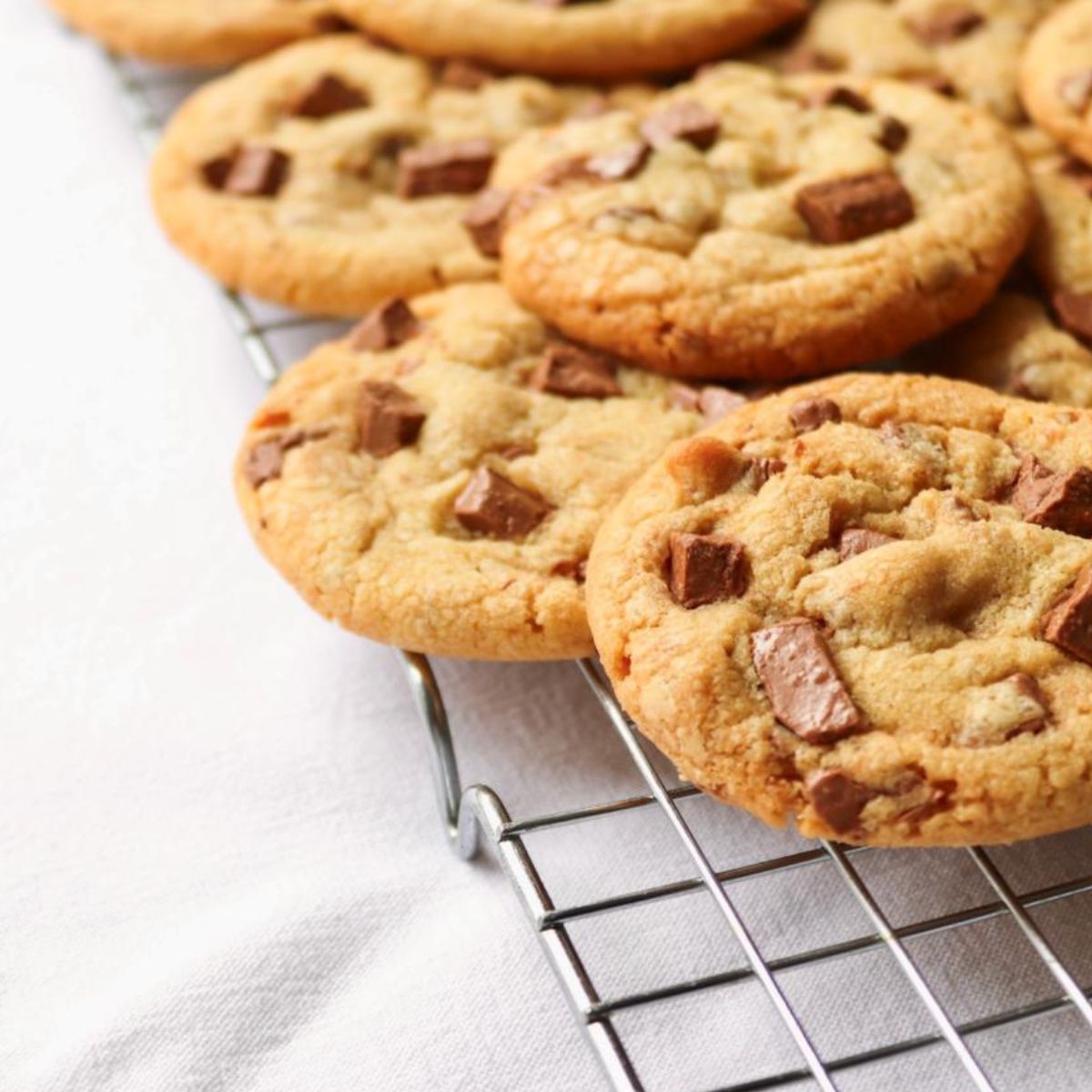 Sourdough Chocolate Chip Cookies