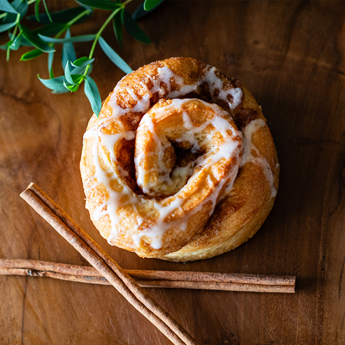 Sourdough Cinnamon Rolls